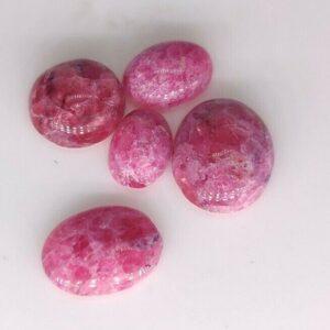 GREAT VALUE LOT 5 pc 3.80 ct EUDIALYTE  -  CANADA