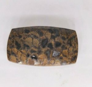 13.60 ct AAA QUALITY DINOSAUR BONE  -  USA
