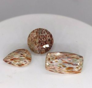 13.90 ct 3 pc AAA QUALITY DINOSAUR BONE  -  USA
