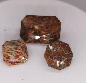 21.75 ct 3 pc AAA QUALITY DINOSAUR BONE  -  USA