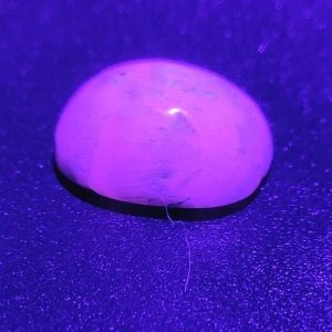 7.15 ct KUTHNAHORITE  -  USA