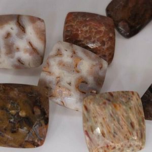 LOT 35 cts, 10 pcs DINOSAUR BONE  -  USA