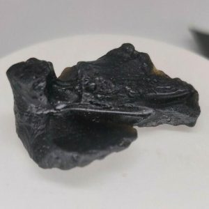 10.8 g INDOCHINITE TEKTITE  -  INDOCHINA