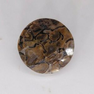 3.30 ct AAA QUALITY DINOSAUR BONE  -  USA