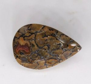 3.80 ct AAA QUALITY DINOSAUR BONE  -  USA