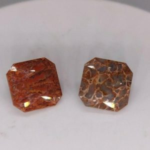 8.10 ct 2 pc AAA QUALITY DINOSAUR BONE  -  USA