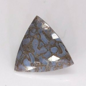 2.80 ct AAA QUALITY DINOSAUR BONE  -  USA