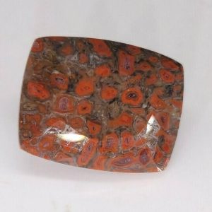 6.45 ct AAA QUALITY DINOSAUR BONE  -  USA
