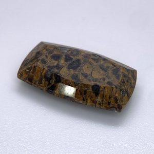 13.60 ct AAA QUALITY DINOSAUR BONE  -  USA