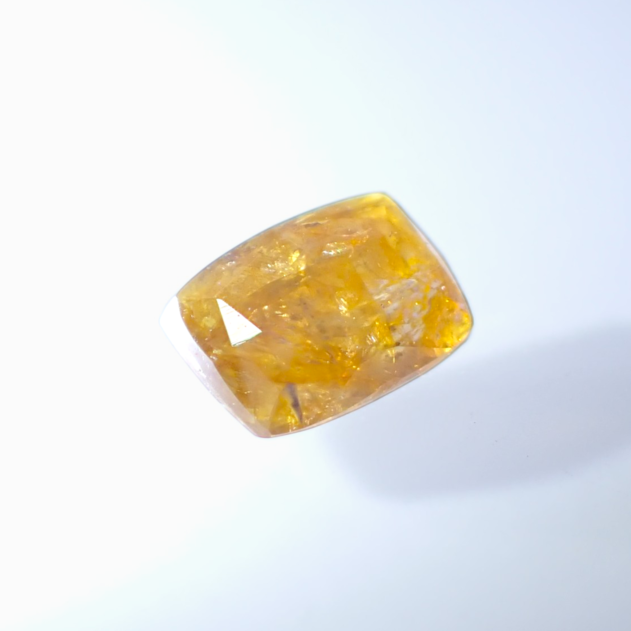 P6080096