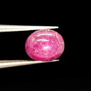 4.60 ct MYSORE STAR RUBY  -  INDIA