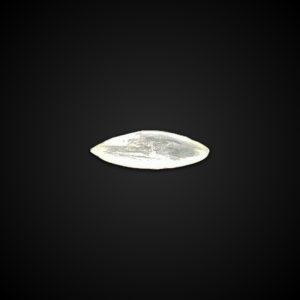 HYDROBORACITE