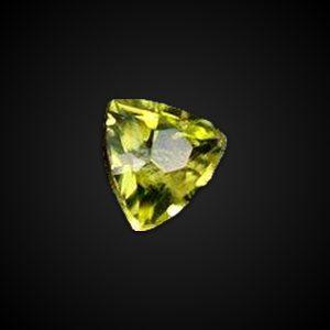 PALLASITE