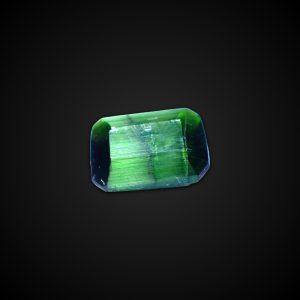 PARGASITE
