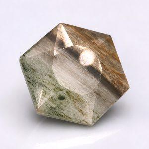 10.35 ct FOSSILIZED WOOD  -  USA