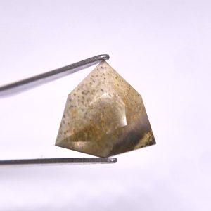5.00 ct FOSSILIZED WOOD  -  USA