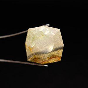 6.80 ct FOSSILIZED WOOD  -  USA