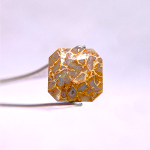 4.20 ct AAA QUALITY DINOSAUR BONE - USA