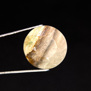 7.22 ct FOSSILIZED WOOD  -  USA