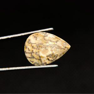 3.50 ct AAA QUALITY DINOSAUR BONE  -  USA