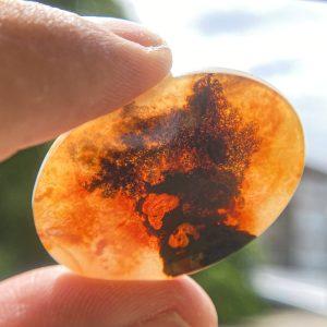 32.50 ct MOSS AGATE  -  BRAZIL