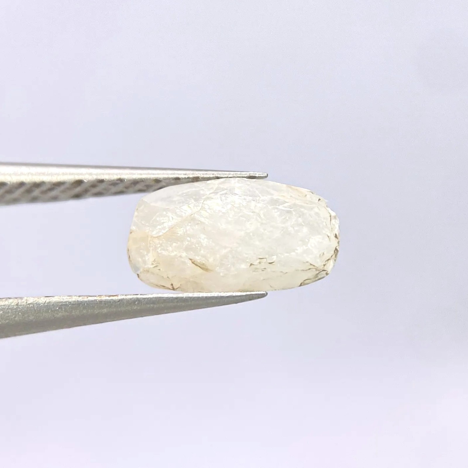 image-0 (2)