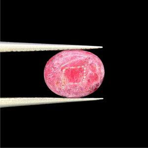 1.32 ct EUDIALYTE - CANADA