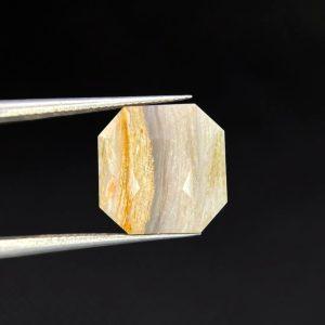 7.06 ct FOSSILIZED WOOD  -  USA