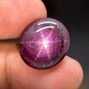 21.95 ct MYSORE STAR RUBY - INDIA