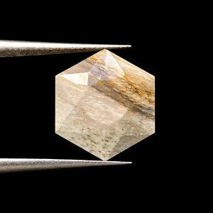 6.88 ct FOSSILIZED WOOD - USA